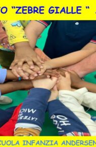 Copertina Progetto zebre gialle