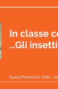 Copertina Presentazione In classe con gli insetti